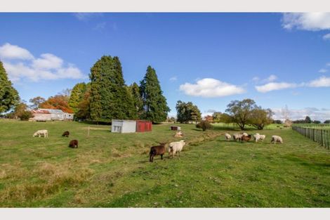 Photo of property in 2520 Rangataua Road, Ohakune, 4625