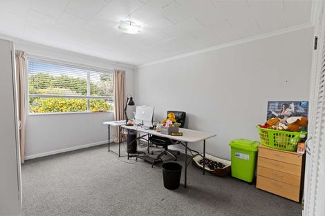 Photo of property in 105 Oxford Street, Ashhurst, 4810