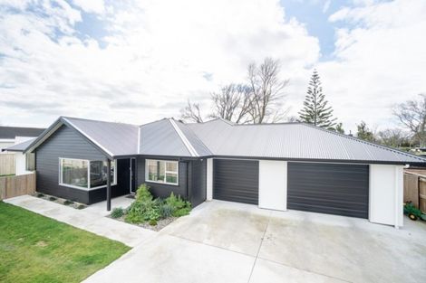 Photo of property in 6 Waimarama Court, Roslyn, Palmerston North, 4414