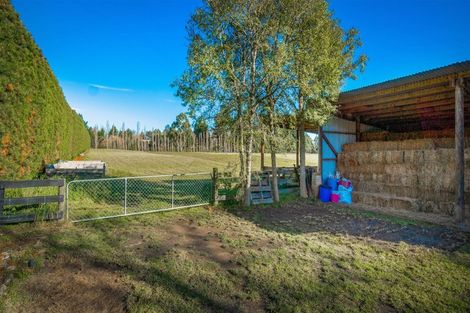 Photo of property in 173 Bells Road, West Melton, Christchurch, 7671