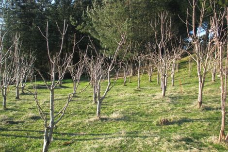 Photo of property in 4 Terrace Street, Matawai, 4075