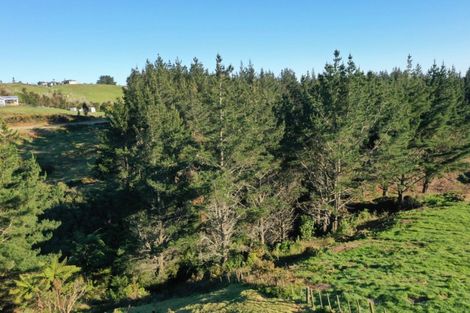 Photo of property in 95 Te Kohanga Road, Whakamarama, 3179