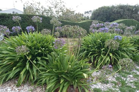 Photo of property in 9 Bridge Street, Tuatapere, 9620