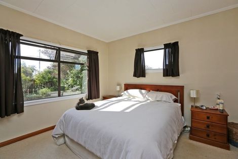 Photo of property in 1006 Williams Street, Mahora, Hastings, 4120