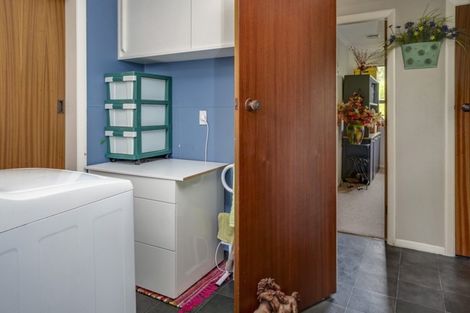 Photo of property in 196 Fairfax Street, Murchison, 7007