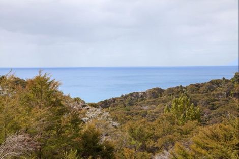 Photo of property in 125b Sailors Grave Road, Pumpkin Hill, Whitianga, 3591