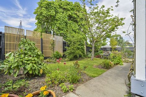 Photo of property in 205 Pattison Road, Akina, Hastings, 4122