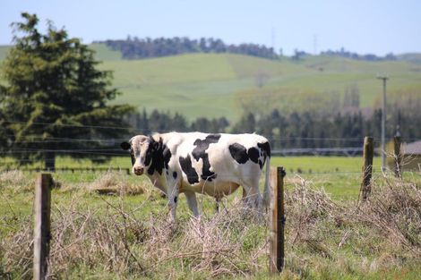 Photo of property in 31 Tia Street, Atiamuri, 3078