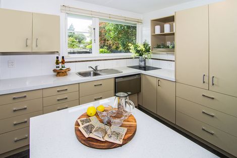 Photo of property in 12 Madden Place, Solway, Masterton, 5810