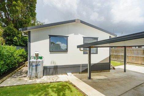 Photo of property in 62 Newcastle Street, Hokowhitu, Palmerston North, 4410