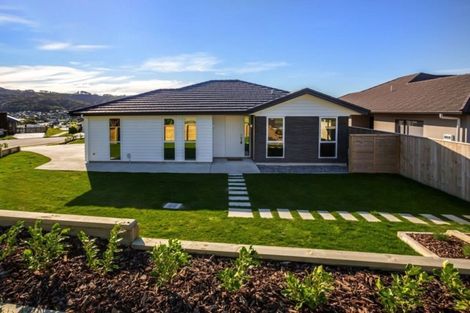 Photo of property in 64 John Burke Drive, Aotea, Porirua, 5024