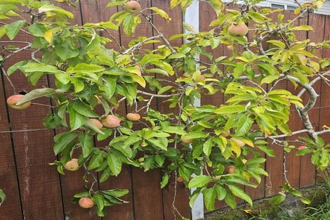 Photo of property in 70 Carrington Avenue, Silverdale, Hamilton, 3216