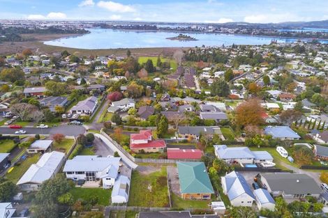 Photo of property in 17b Wiremu Street, Brookfield, Tauranga, 3110