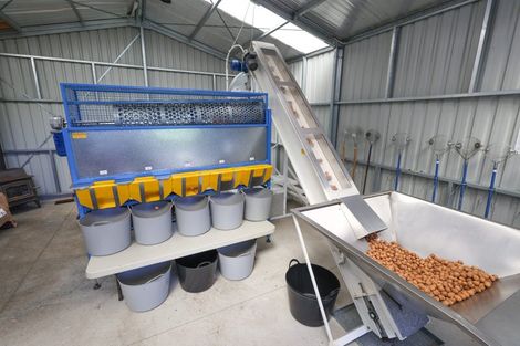 Photo of property in 60 Golden Hills Road, Appleby, Richmond, 7081