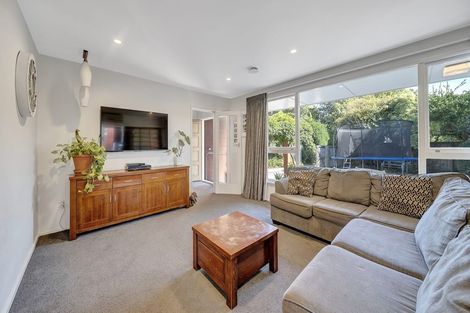 Photo of property in 200 Opawa Road, Hillsborough, Christchurch, 8022