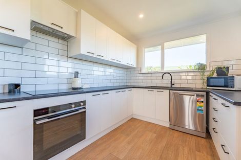 Photo of property in 17 Elmsdale Terrace, Marchwiel, Timaru, 7910