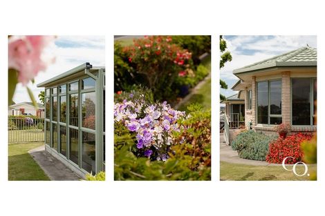 Photo of property in 16 Chaytor Street, Te Puke, 3119