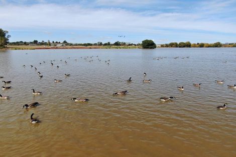 Photo of property in 11 Jensen Drive, Waipukurau, 4282