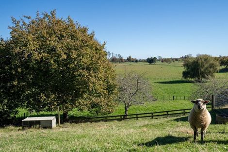 Photo of property in 139 Maungakawa Road, Cambridge, 3496