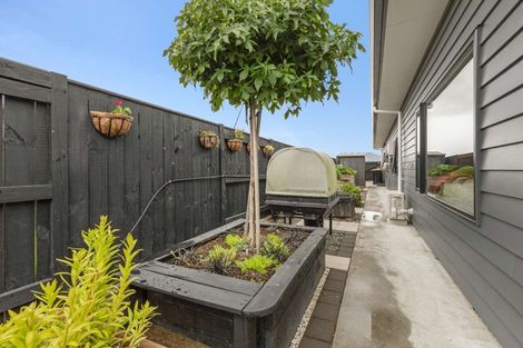 Photo of property in 302 Cambridge Avenue, Ashhurst, 4810