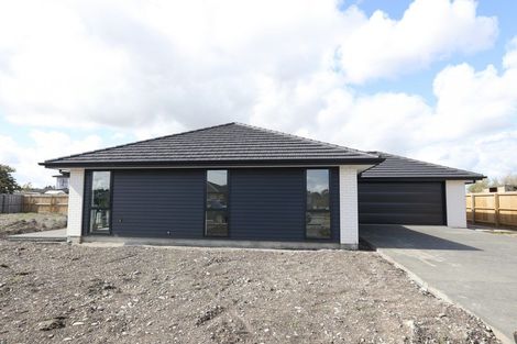 Photo of property in 3 Roxburgh Place, Tinwald, Ashburton, 7700