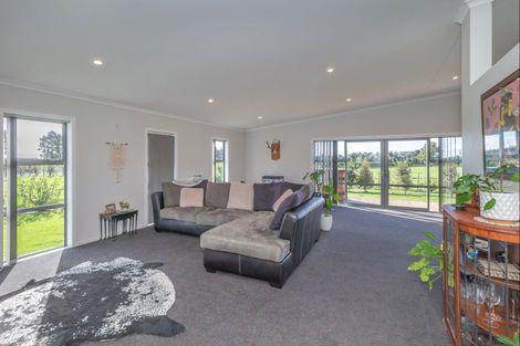 Photo of property in 112 Gladstone Road, Levin, 5571