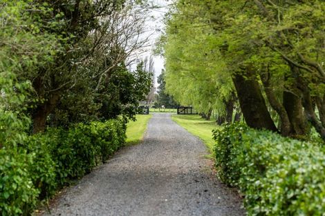 Photo of property in 399 Dalefield Road, Dalefield, Carterton, 5791