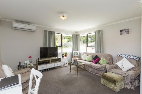 Photo of property in 155a Ruahine Street, Roslyn, Palmerston North, 4414