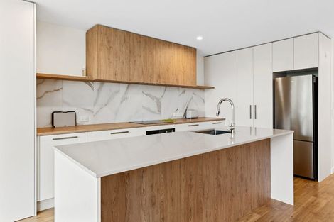 Photo of property in 119b Ruskin Street, Addington, Christchurch, 8024