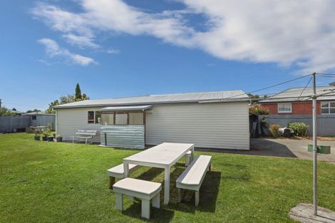 Photo of property in 58 Harland Street, Tinwald, Ashburton, 7700