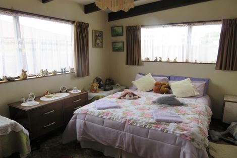 Photo of property in 19a Wilkin Street, Temuka, 7920