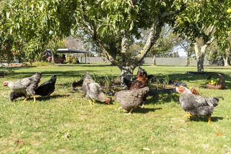 Photo of property in 1 Grey Street, Martinborough, 5711