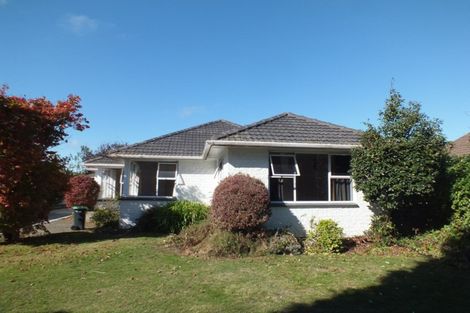 Photo of property in 19 Solway Avenue, Ilam, Christchurch, 8041