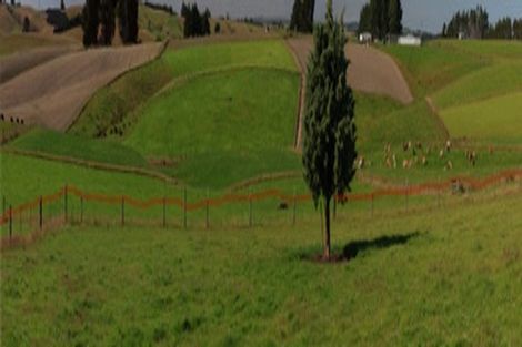 Photo of property in 290 Old Port Road, Warepa, Balclutha, 9273