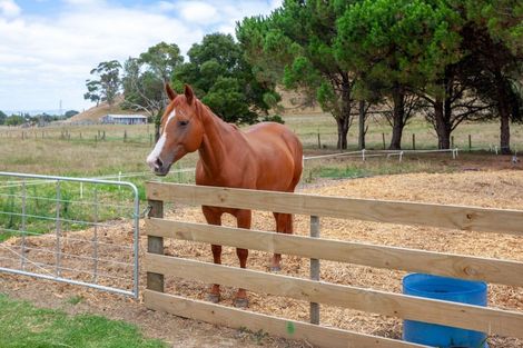 Photo of property in 141 Neavesville Road, Puriri, Thames, 3578