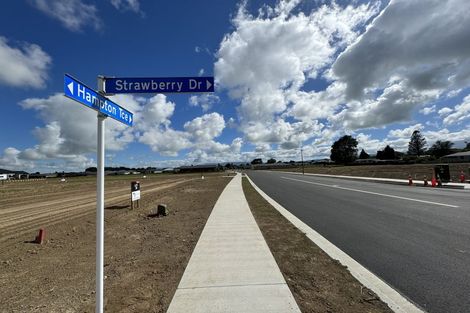 Photo of property in 50 Hampton Terrace, Parkvale, Tauranga, 3112