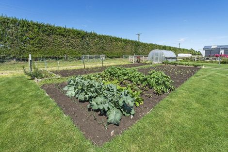 Photo of property in 155 Bellam Road, Rolleston, Christchurch, 7678