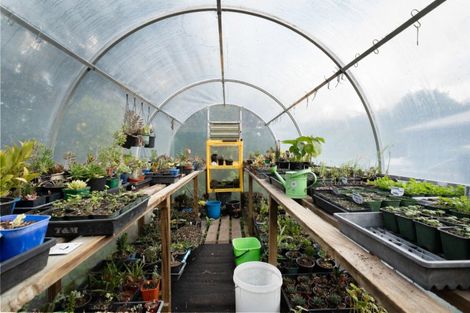 Photo of property in 117 Bulltown Road, Waihi, 3610