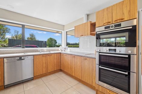 Photo of property in 119 Gartartan Road, Willowby, Ashburton, 7774