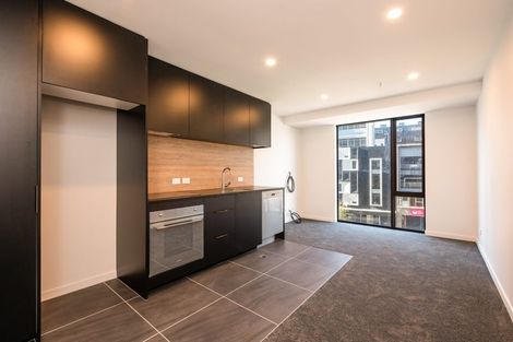 Photo of property in Pinnacle Apartments, E202/160 Victoria Street, Te Aro, Wellington, 6011