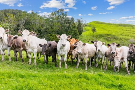 Photo of property in 2/2 Kirk Road, Templeton, Christchurch, 8042