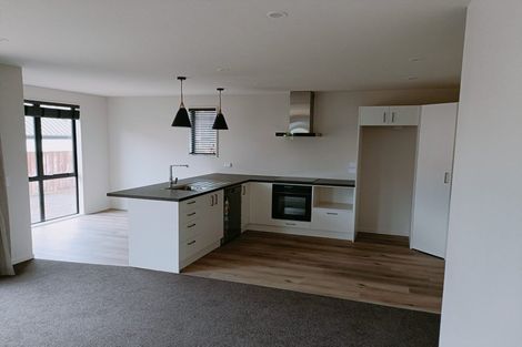 Photo of property in 47 Cranford Street, St Albans, Christchurch, 8014