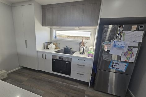 Photo of property in 166 John Burke Drive, Aotea, Porirua, 5024