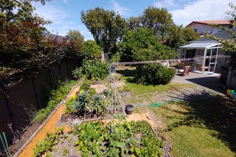 Photo of property in 24 Rewarewa Crescent, Waikanae, 5036