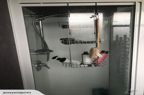 Photo of property in 28 Woodleigh Street, Frankleigh Park, New Plymouth, 4310