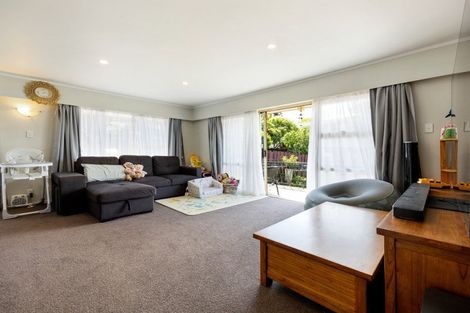 Photo of property in 66 Hazelwood Avenue, Dinsdale, Hamilton, 3204