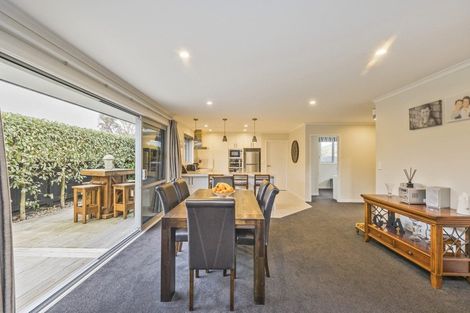 Photo of property in 96a Limbrick Street, Terrace End, Palmerston North, 4410