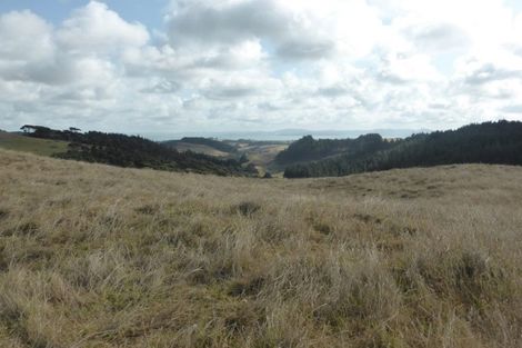 Photo of property in 54 Te Kanae Road, South Head, 0874