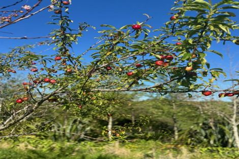 Photo of property in 15 Massey Road, Waipu, 0582