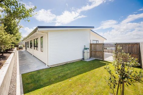 Photo of property in 6a Osborne Terrace, Feilding, 4702